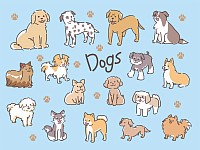 image of various kinds of dogs
