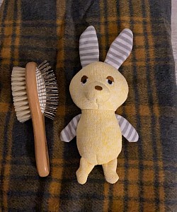 First toy for Rose